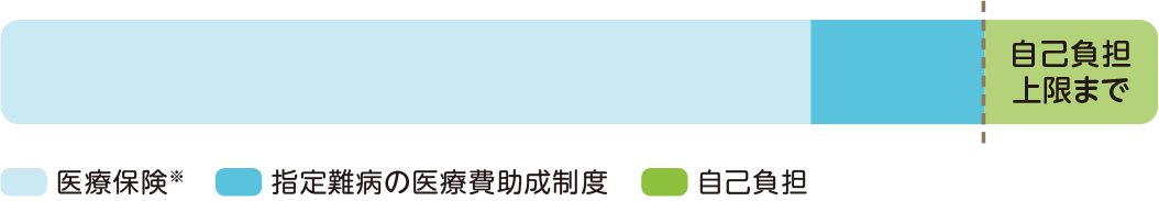 窓口での支払金額が自己負担上限額を超えた場合